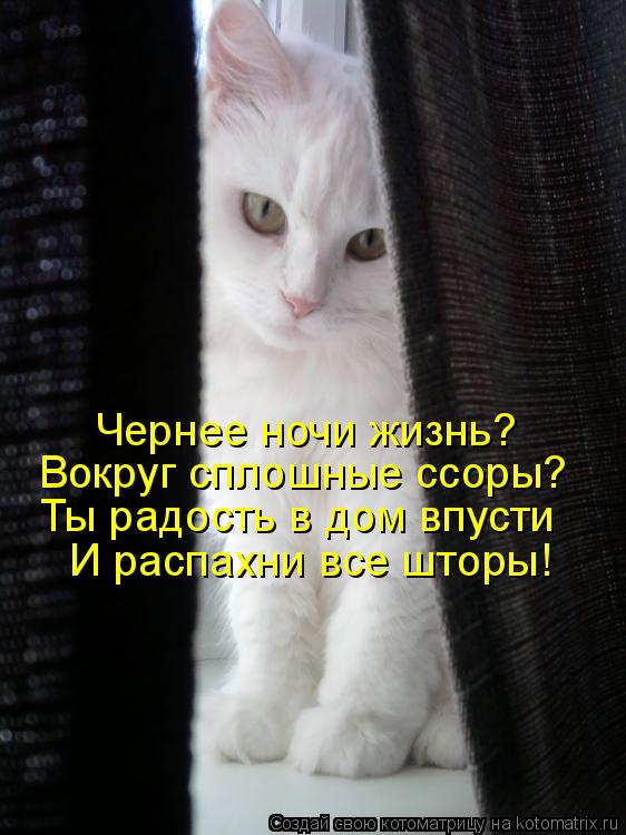 Чернее ночи жизнь? Вокруг сплошные ссоры? Ты радость в дом впусти И распахни все шторы!... Котоматрица: Чернее ночи жизнь? Вокруг сплошные ссоры? Ты радость в дом впусти И распахни все шторы!