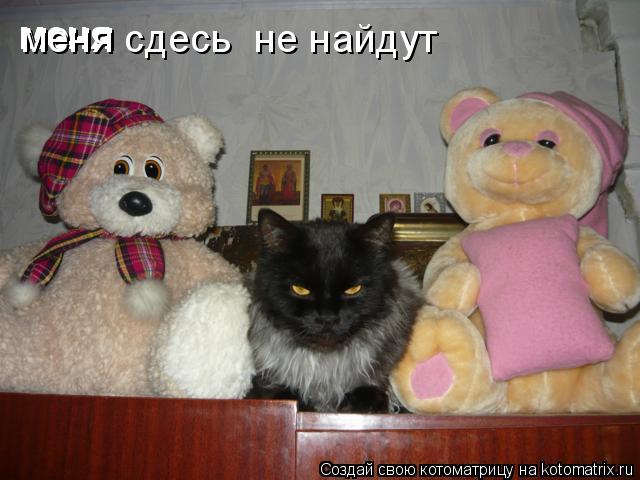 меня меня меня меня сдесь не найдут... Котоматрица: меня меня меня меня сдесь не найдут