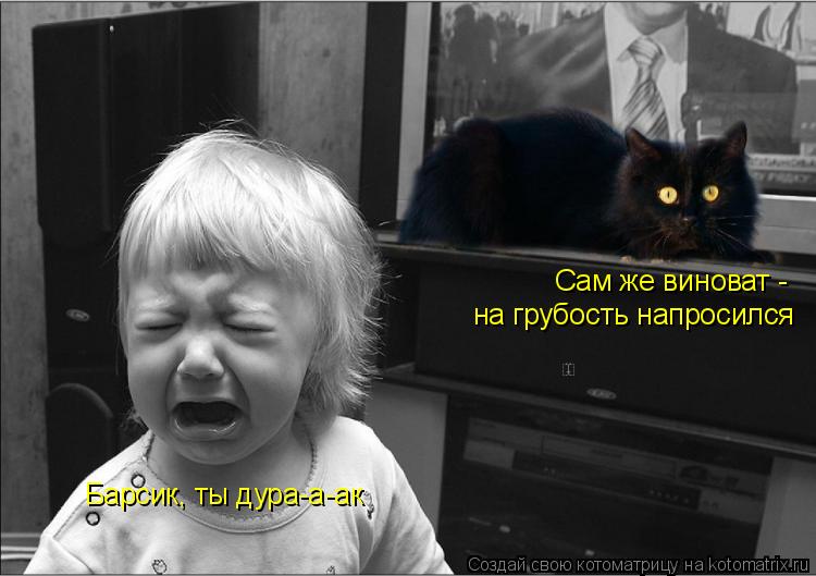 Барсик, ты дура-а-ак Сам же виноват - на грубость напросился... Котоматрица: Барсик, ты дура-а-ак Сам же виноват - на грубость напросился