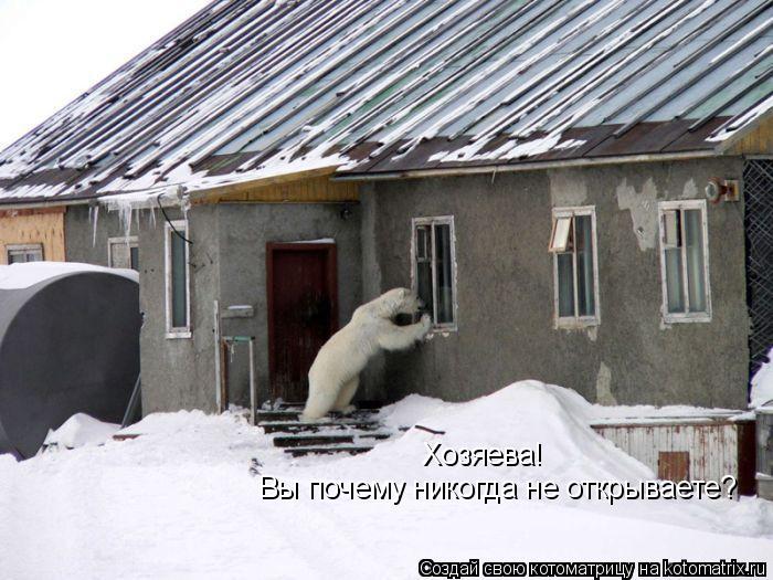 Хозяева! Вы почему никогда не открываете?... Котоматрица: Хозяева! Вы почему никогда не открываете?