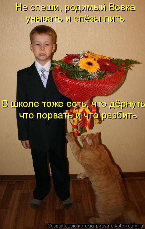 Не спеши, родимый Вовка унывать и слёзы лить В школе тоже есть, что дёрнуть, что порвать и что разбит... Котоматрица: Не спеши, родимый Вовка унывать и слёзы лить В школе тоже есть, что дёрнуть, что порвать и что разбить