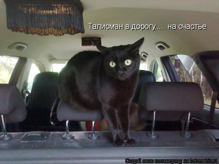 Талисман в дорогу.... на счастье... Котоматрица: Талисман в дорогу.... на счастье