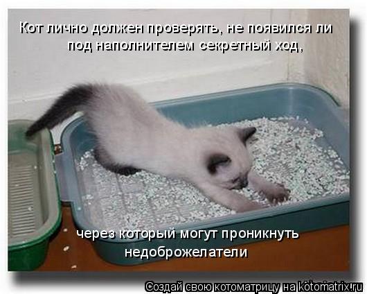 Котоматрица: Кот лично должен проверять, не появился ли  под наполнителем секретный ход,  через который могут проникнуть  недоброжелатели