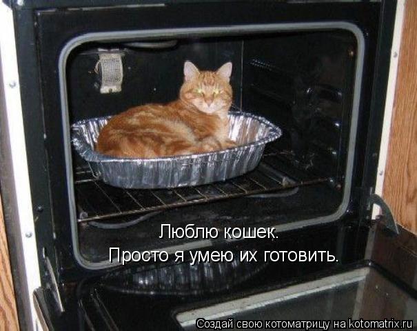 Котоматрица: Люблю кошек. Просто я умею их готовить.