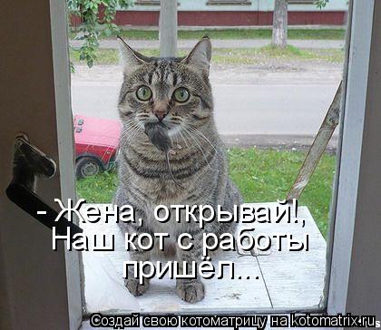 - Жена, открывай!, Наш кот с работы пришёл...... Котоматрица: - Жена, открывай!, Наш кот с работы пришёл...