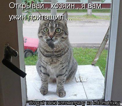 Котоматрица: Открывай , хозяин , я вам  ужин притащил ...