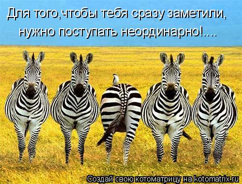Котоматрица: Для того,чтобы тебя сразу заметили, нужно поступать неординарно!....