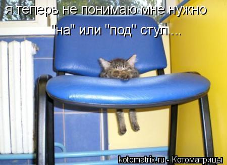 Котоматрица: я теперь не понимаю мне нужно  "на" или "под" стул ...