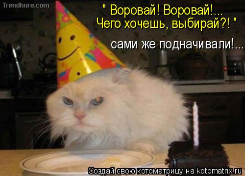 Котоматрица: Чего хочешь, выбирай?! " " Воровай! Воровай!... сами же подначивали!...