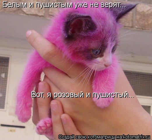 Котоматрица: Белым и пушистым уже не верят...  Вот, я розовый и пушистый...
