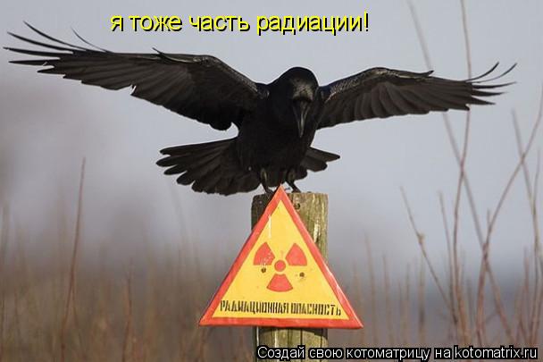 Котоматрица: я тоже часть радиации!