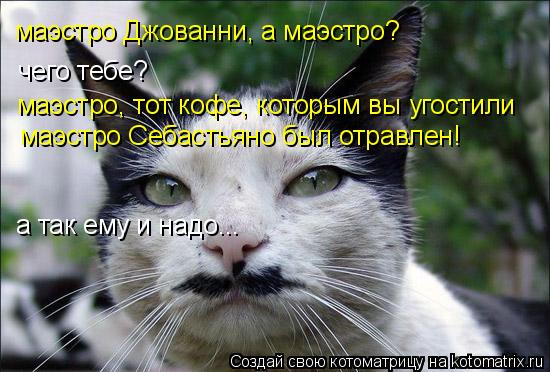 Котоматрица: маэстро Джованни, а маэстро? чего тебе? маэстро, тот кофе, которым вы угостили  маэстро Себастьяно был отравлен! а так ему и надо...