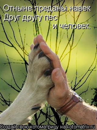 Котоматрица: Отныне преданы навек Друг другу пес  и человек.