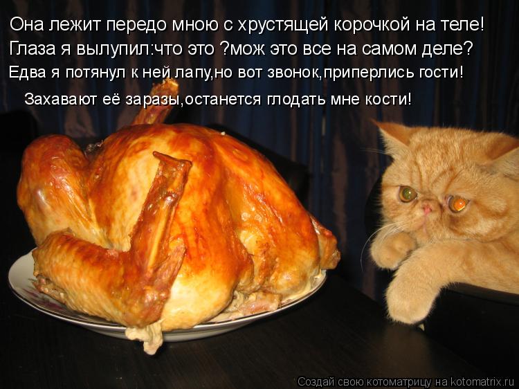 Она лежит передо мною с хрустящей корочкой на теле! Глаза я вылупил:что это ?мож это все на самом дел... Котоматрица: Она лежит передо мною с хрустящей корочкой на теле! Глаза я вылупил:что это ?мож это все на самом деле? Едва я потянул к ней лапу,но вот звонок