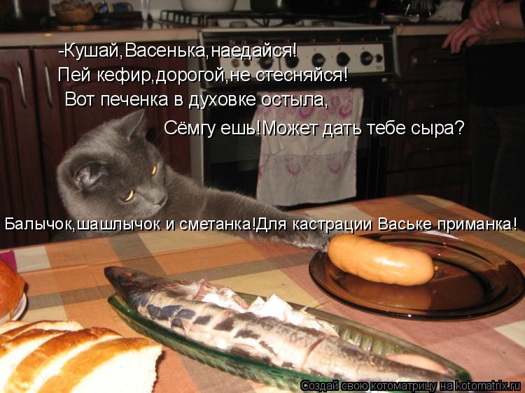 -Кушай,Васенька,наедайся! Пей кефир,дорогой,не стесняйся! Вот печенка в духовке остыла, Сёмгу ешь!Мож... Котоматрица: -Кушай,Васенька,наедайся! Пей кефир,дорогой,не стесняйся! Вот печенка в духовке остыла, Сёмгу ешь!Может дать тебе сыра? Балычок,шашлычок и см