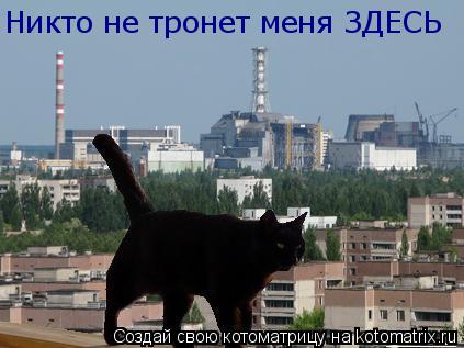 Никто не тронет меня ЗДЕСЬ... Котоматрица: Никто не тронет меня ЗДЕСЬ