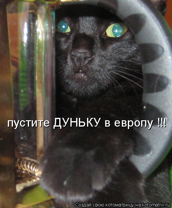 пустите ДУНЬКУ в европу !!!... Котоматрица: пустите ДУНЬКУ в европу !!!