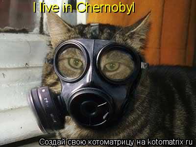 I live in Chernobyl... Котоматрица: I live in Chernobyl
