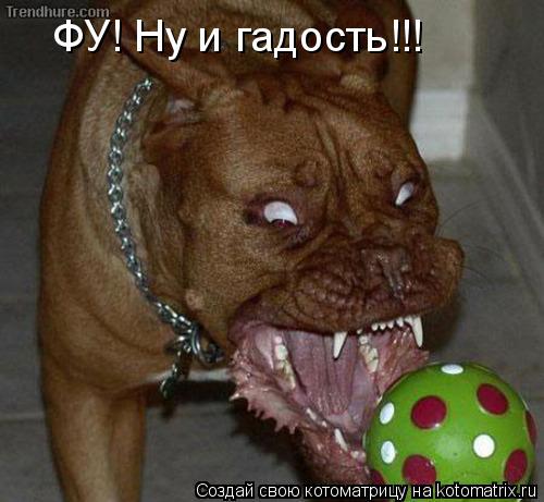 Котоматрица: ФУ! Ну и гадость!!!
