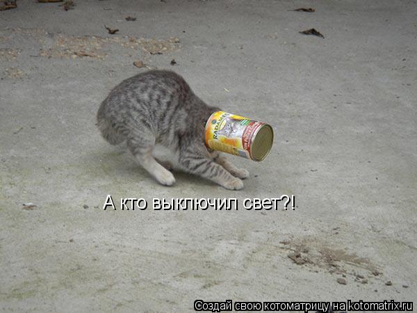 А кто выключил свет?!... Котоматрица: А кто выключил свет?!