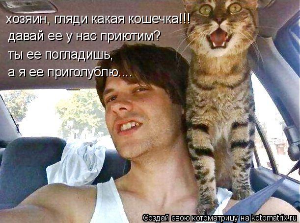 Котоматрица: хозяин, гляди какая кошечка!!! давай ее у нас приютим? ты ее погладишь,  а я ее приголублю....