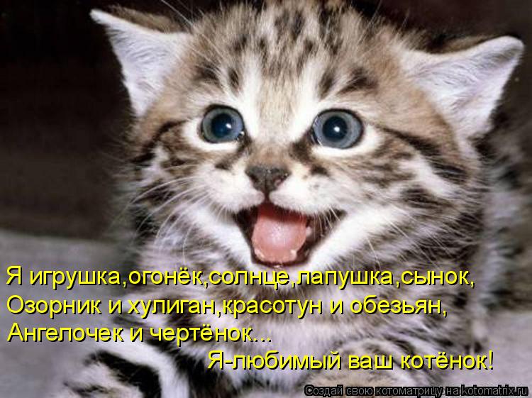 Я игрушка,огонёк,солнце,лапушка,сынок, Озорник и хулиган,красотун и обезьян, Ангелочек и чертёнок... ... Котоматрица: Я игрушка,огонёк,солнце,лапушка,сынок, Озорник и хулиган,красотун и обезьян, Ангелочек и чертёнок... Я-любимый ваш котёнок!
