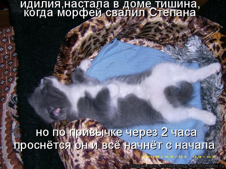 Котоматрица: идилия,настала в доме тишина, когда морфей свалил Степана но по привычке через 2 часа проснётся он и всё начнёт с начала