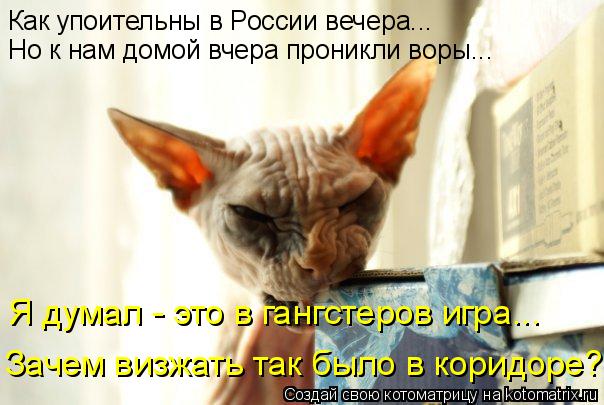 Котоматрица: Как упоительны в России вечера... Но к нам домой вчера проникли воры... Я думал - это в гангстеров игра... Зачем визжать так было в коридоре?