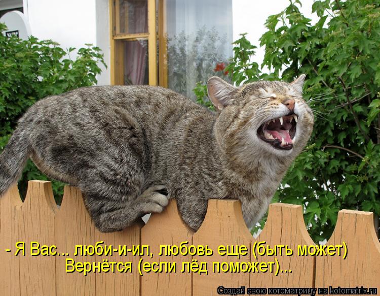 - Я Вас... люби-и-ил, любовь еще (быть может) Вернётся (если лёд поможет)...... Котоматрица: - Я Вас... люби-и-ил, любовь еще (быть может) Вернётся (если лёд поможет)...