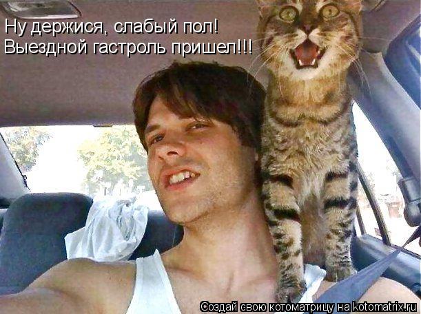 Ну держися, слабый пол! Выездной гастроль пришел!!!... Котоматрица: Ну держися, слабый пол! Выездной гастроль пришел!!!