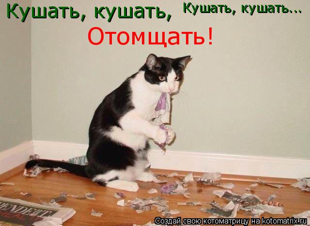 Котоматрица: Кушать, кушать, Кушать, кушать... Отомщать!