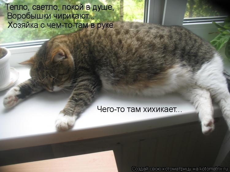 Котоматрица: Тепло, светло, покой в душе, Тепло, светло, покой в душе,  Воробышки чирикают...  Хозяйка с чем-то там в руке Чего-то там хихикает...