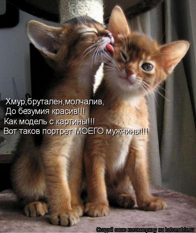 Котоматрица: Хмур,брутален,молчалив, До безумия красив!!! Как модель с картины!!! Вот таков портрет МОЕГО мужчины!!!