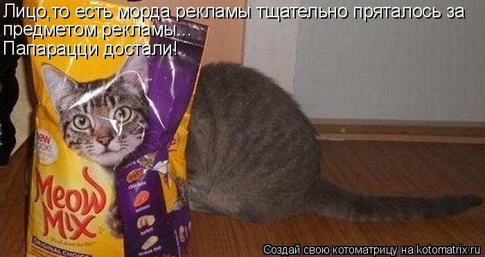 Котоматрица: Лицо,то есть морда рекламы тщательно пряталось за предметом рекламы... Папарацци достали!