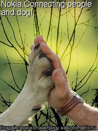 Котоматрица: Nokia.Connecting people and dog!