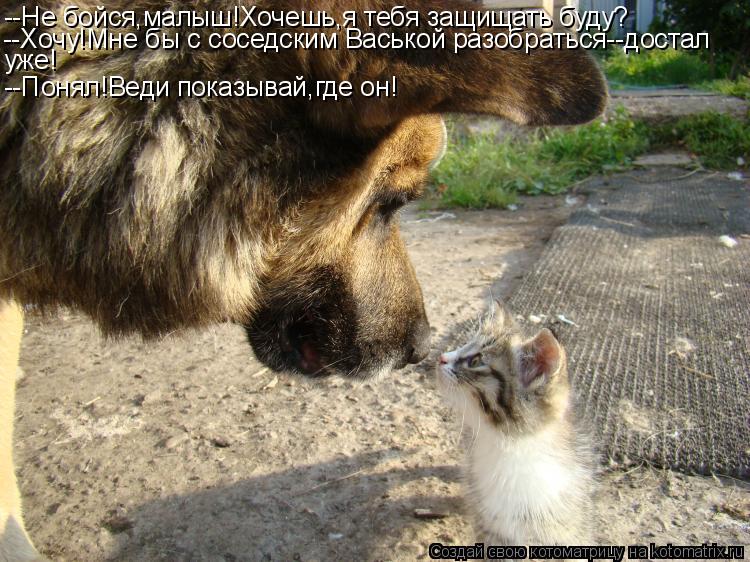 --Не бойся,малыш!Хочешь,я тебя защищать буду? --Хочу!Мне бы с соседским Васькой разобраться--достал у... Котоматрица: --Не бойся,малыш!Хочешь,я тебя защищать буду? --Хочу!Мне бы с соседским Васькой разобраться--достал уже! --Понял!Веди показывай,где он!