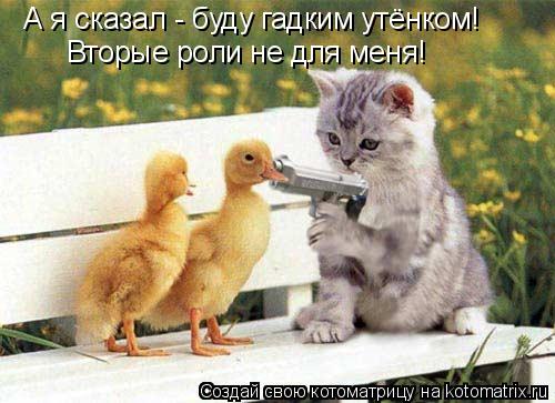 А я сказал - буду гадким утёнком! Вторые роли не для меня!... Котоматрица: А я сказал - буду гадким утёнком! Вторые роли не для меня!
