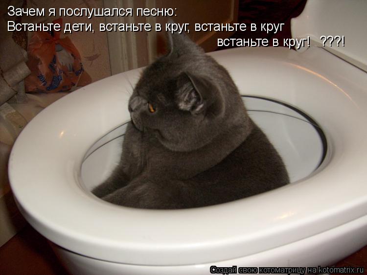 Зачем я послушался песню: Встаньте дети, встаньте в круг, встаньте в круг встаньте в круг! ???!... Котоматрица: Зачем я послушался песню: Встаньте дети, встаньте в круг, встаньте в круг встаньте в круг! ???!