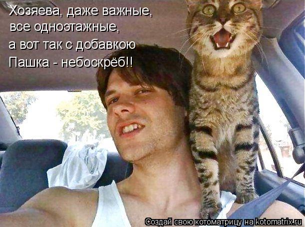 Хозяева, даже важные, все одноэтажные, а вот так с добавкою Пашка - небоскрёб!!... Котоматрица: Хозяева, даже важные, все одноэтажные, а вот так с добавкою Пашка - небоскрёб!!