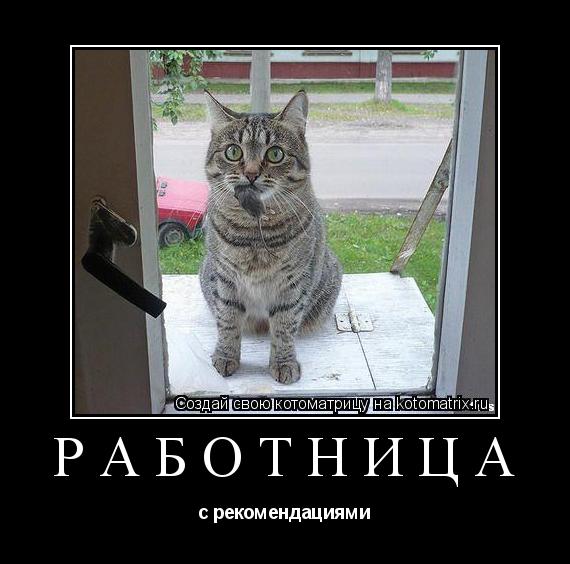работница с рекомендациями... Котоматрица: работница с рекомендациями