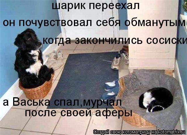 он почувствовал себя обманутым а Васька спал,мурчал после своей аферы когда закончились сосиски шари... Котоматрица: он почувствовал себя обманутым а Васька спал,мурчал после своей аферы когда закончились сосиски шарик переехал