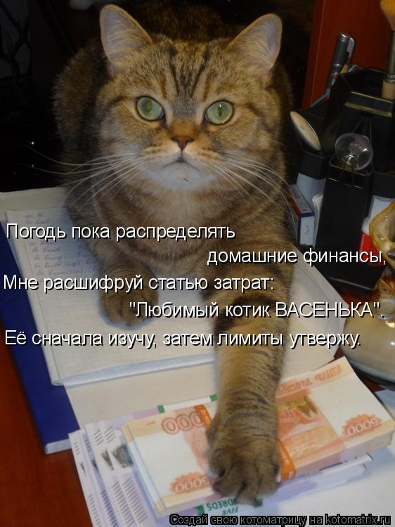 Погодь пока распределять домашние финансы, Мне расшифруй статью затрат: "Любимый котик ВАСЕНЬКА". Её... Котоматрица: Погодь пока распределять домашние финансы, Мне расшифруй статью затрат: "Любимый котик ВАСЕНЬКА". Её сначала изучу, затем лимиты утвержу.