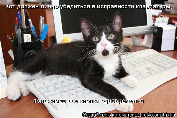 Кот должен лично убедиться в исправности клавиатуры, понажимав все кнопки одновременно... Котоматрица: Кот должен лично убедиться в исправности клавиатуры, понажимав все кнопки одновременно
