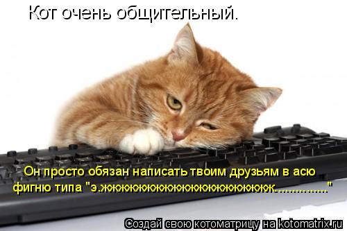 Котоматрица: Кот очень общительный.  Он просто обязан написать твоим друзьям в асю фигню типа "э.жжжжжжжжжжжжжжжжжжжж..............."