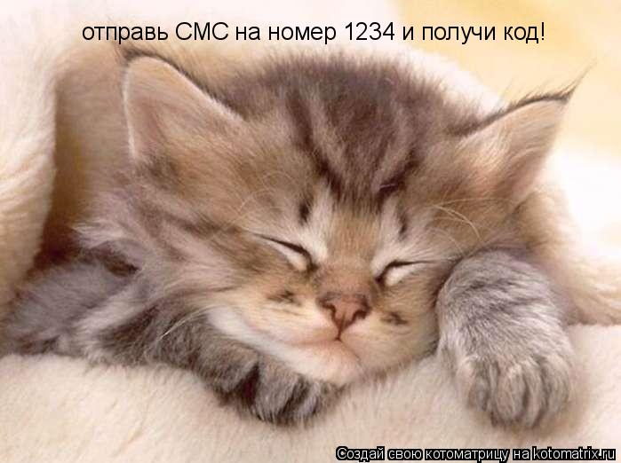 Котоматрица: отправь СМС на номер 1234 и получи код!