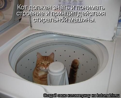 Котоматрица: Кот должен знать и понимать  строение и принцип действия  стиральной машины.