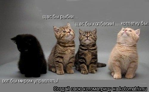 Котоматрица: щас бы рыбки... щас бы колбаски!... котлетку бы...... вот бы миром управлять!