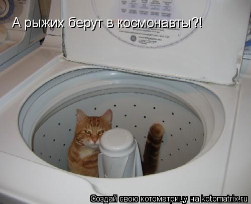 Котоматрица: А рыжих берут в космонавты?!