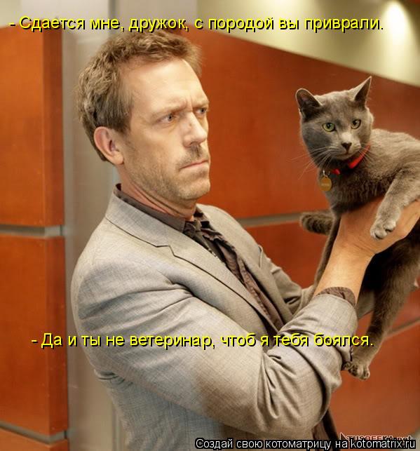 - Сдается мне, дружок, с породой вы приврали. - Да и ты не ветеринар, чтоб я тебя боялся.... Котоматрица: - Сдается мне, дружок, с породой вы приврали. - Да и ты не ветеринар, чтоб я тебя боялся.