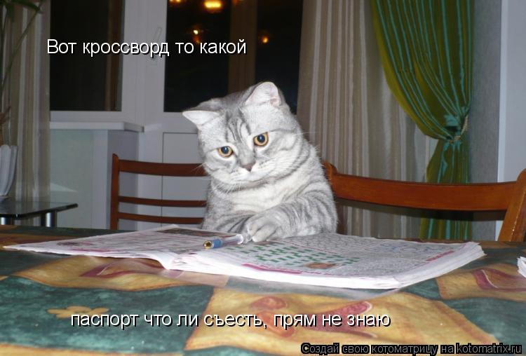 Вот кроссворд то какой паспорт что ли съесть, прям не знаю... Котоматрица: Вот кроссворд то какой паспорт что ли съесть, прям не знаю